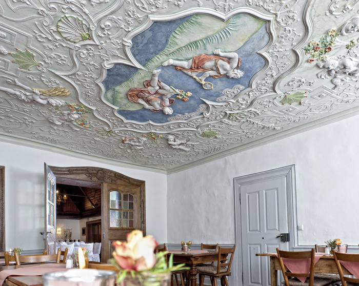 Schwan1392.jpg