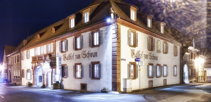 Schwan__Sommerach.jpg